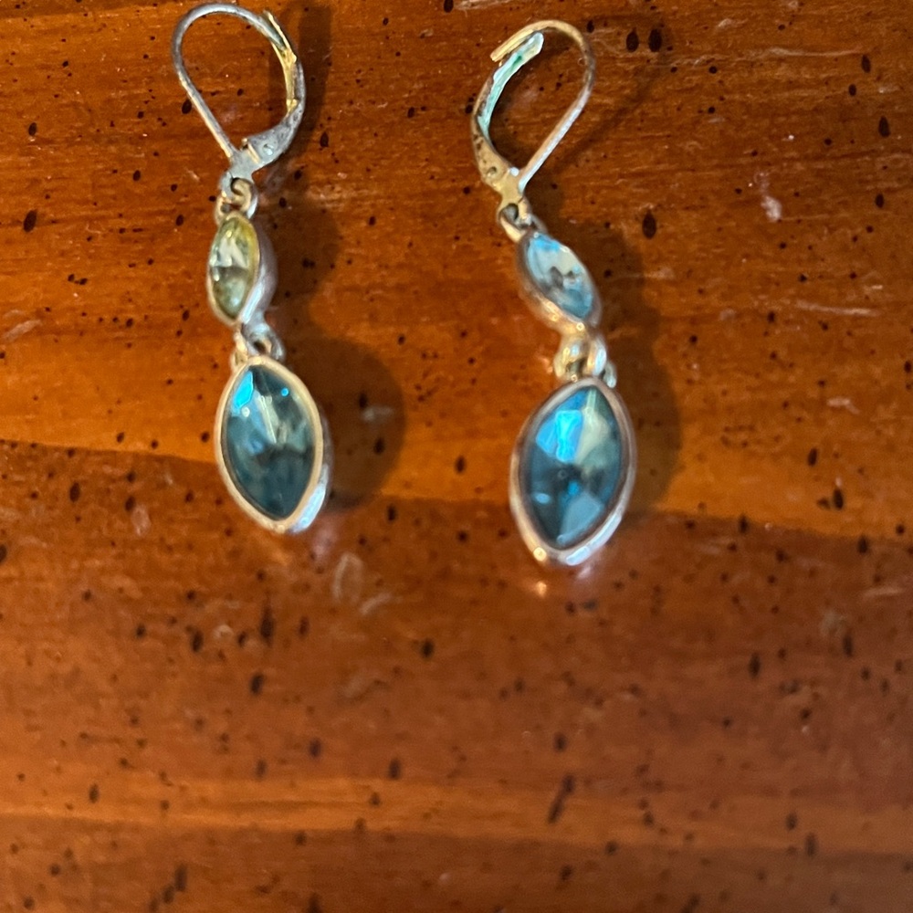 Elegant Silver and Blue Dangle Earrings